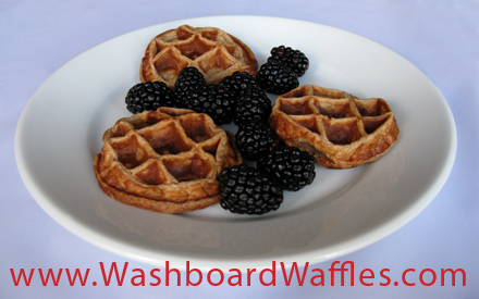 High-Protein Wheat-Free Washboard Waffles